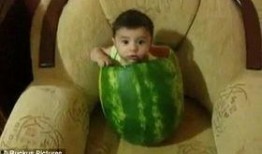 各种吃瓜视频在哪看啊免费,各大平台汇总攻略