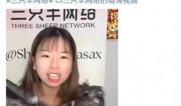 宇歌爆料小杨哥视频播放,小杨哥视频播放背后的惊人真相